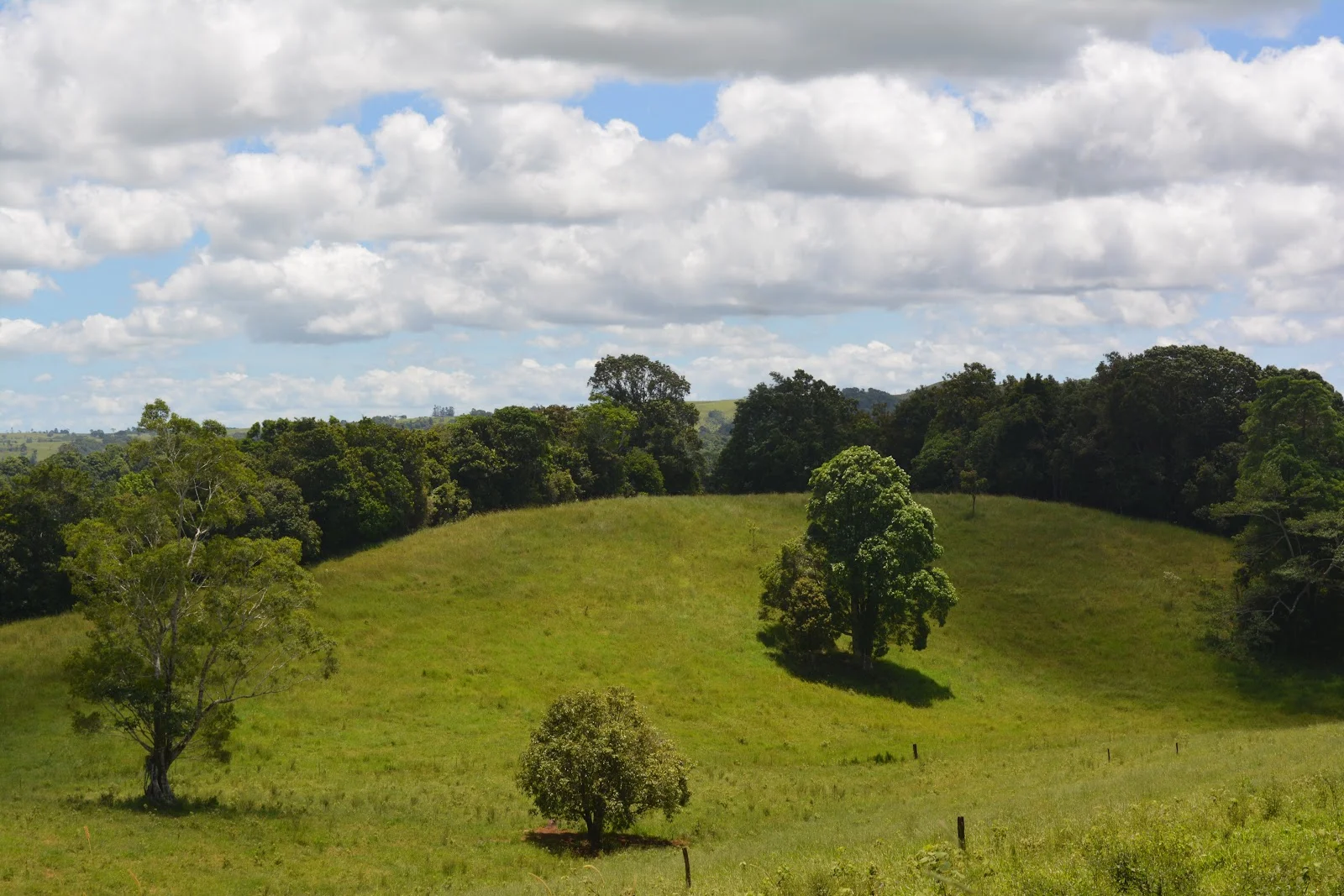 Image 69
