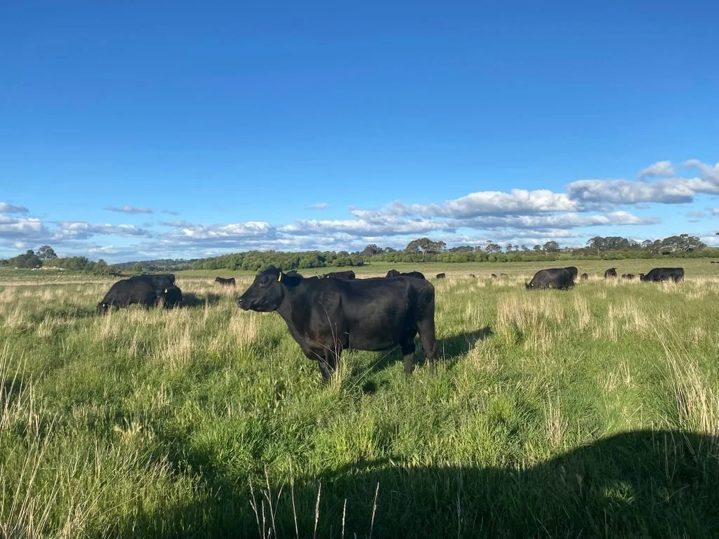 Additional image 14 of 75 Whiley Road, Spring Hill NSW 2800