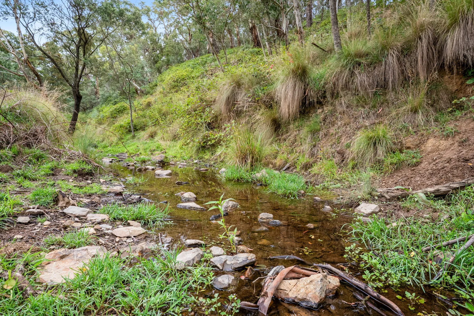Additional image 23 of 500 Portland Sunny Corner Road, Portland NSW 2847