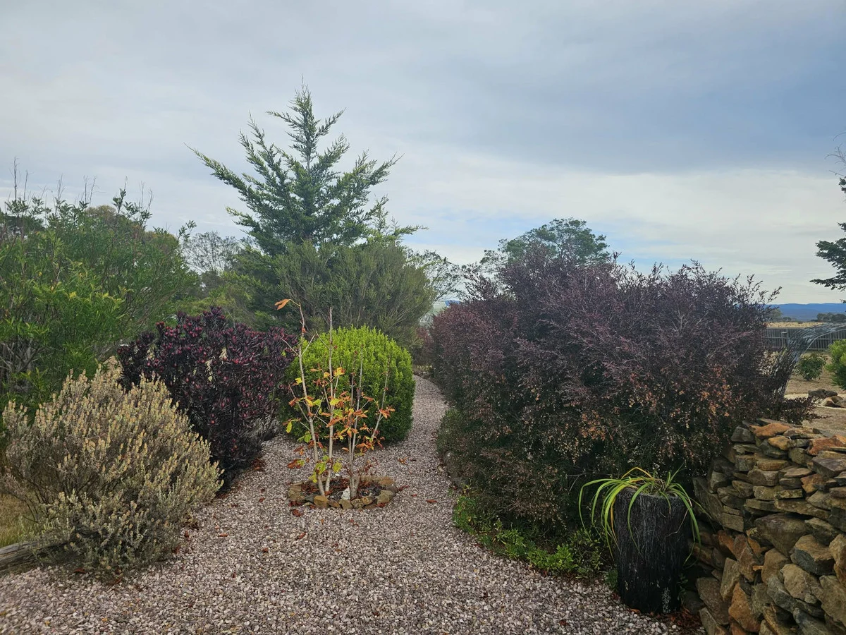 Additional image 18 of 14235 Tasman Highway, Swansea TAS 7190