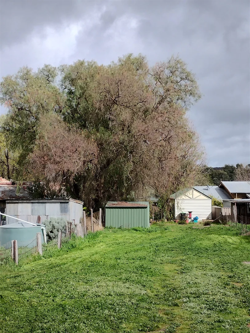 Additional image 6 of 62 Brigade Avenue, Campbells Creek VIC 3451