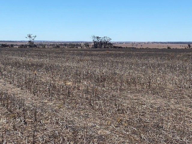 Rural in Lot 20248 Purdy- Doherty Road, KUNUNOPPIN WA, 6489