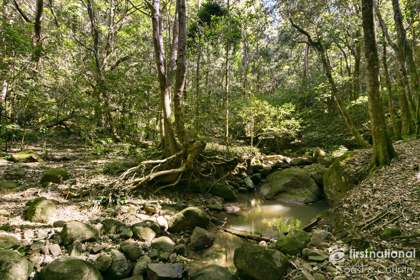 Image 10