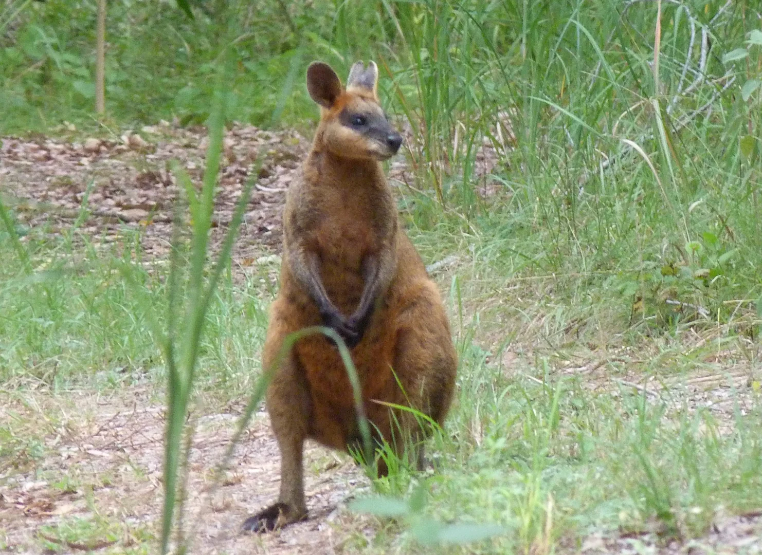 Image 13