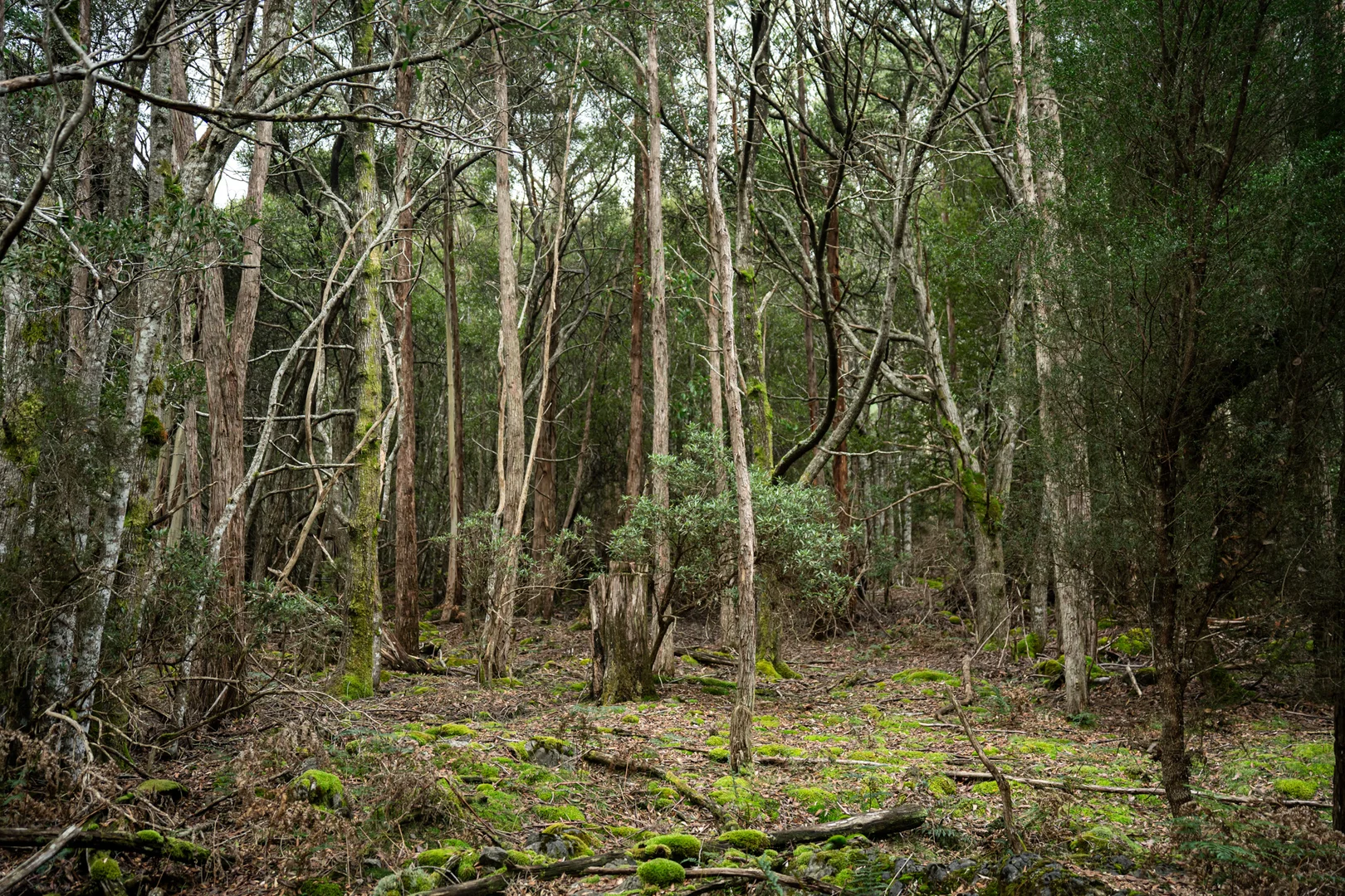 Image 37