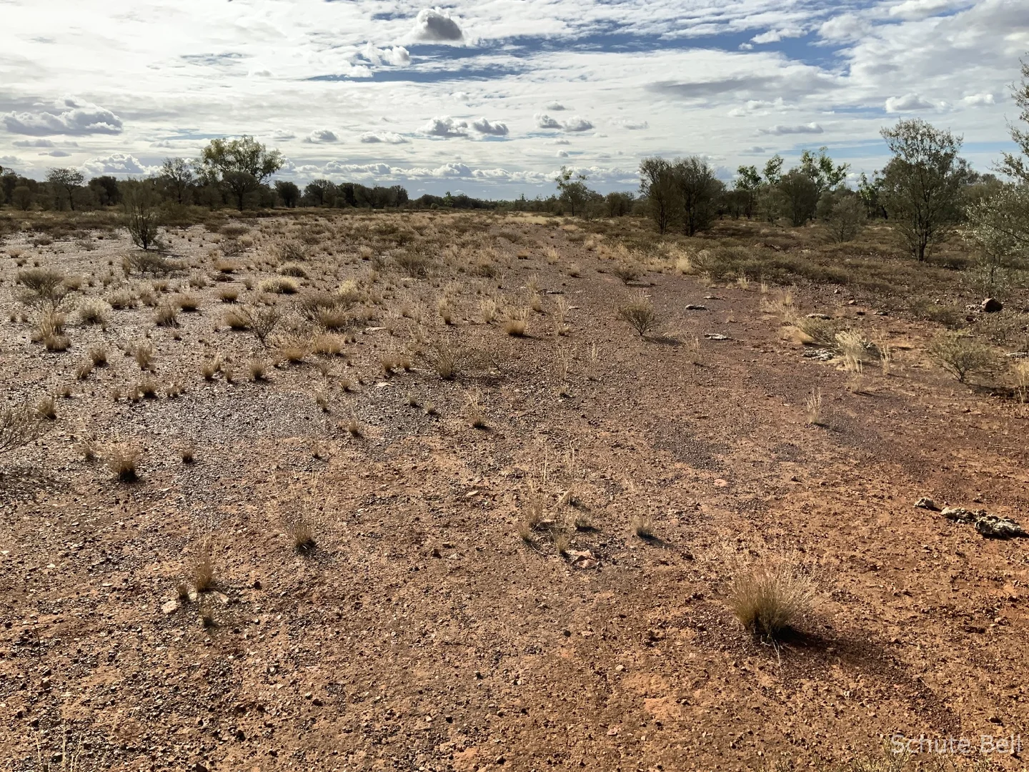 Image 36