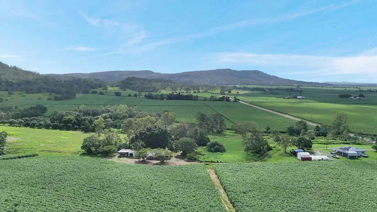 Additional image 23 of 988 Mount Martin Loop Road, Mount Martin QLD 4754