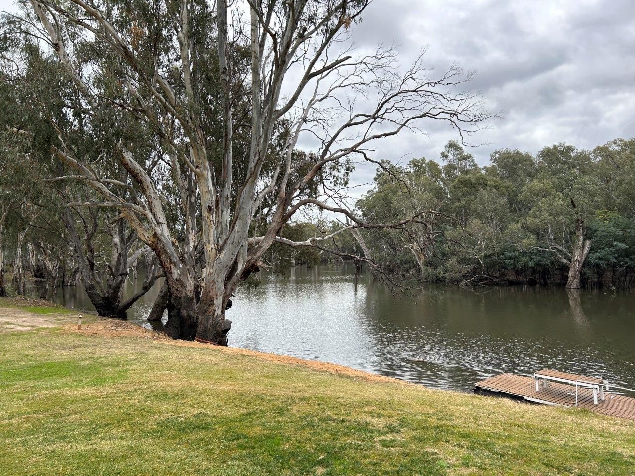 1725 Perricoota Road, Moama NSW 2731 House for Sale Domain