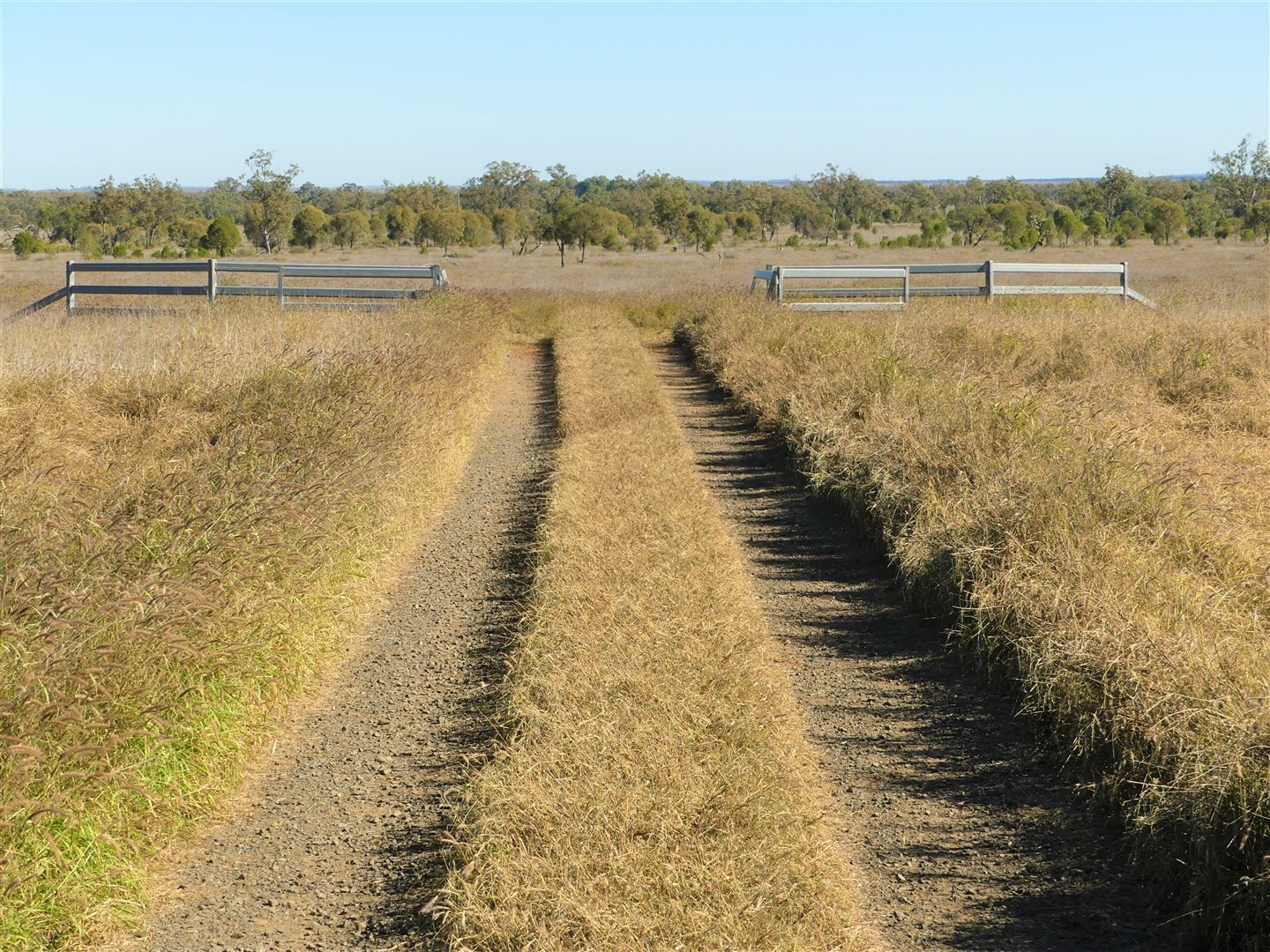 Woodside South Woodside Road, Roma QLD 4455, Image 0