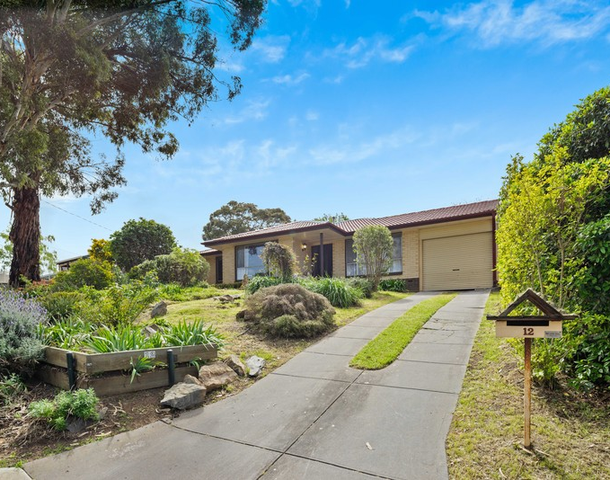 12 Sherwood Avenue, Happy Valley SA 5159