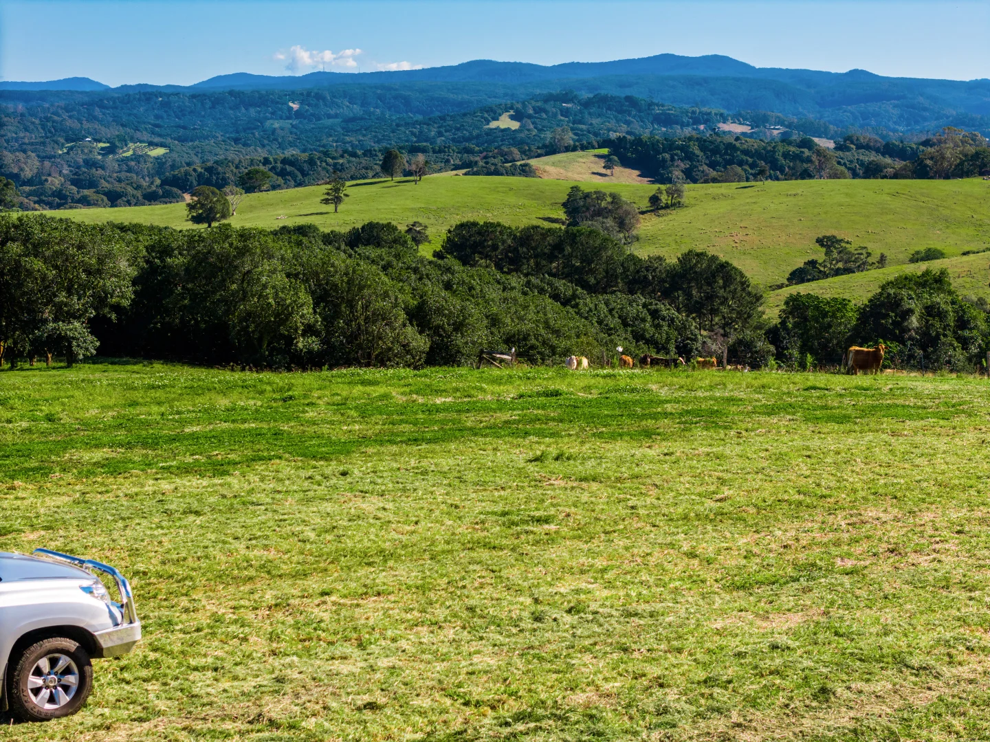 Additional image 13 of 34 Bencluna Lane, Eureka NSW 2480