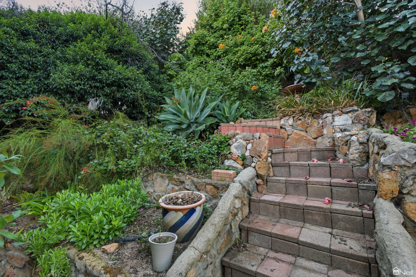 Image 29