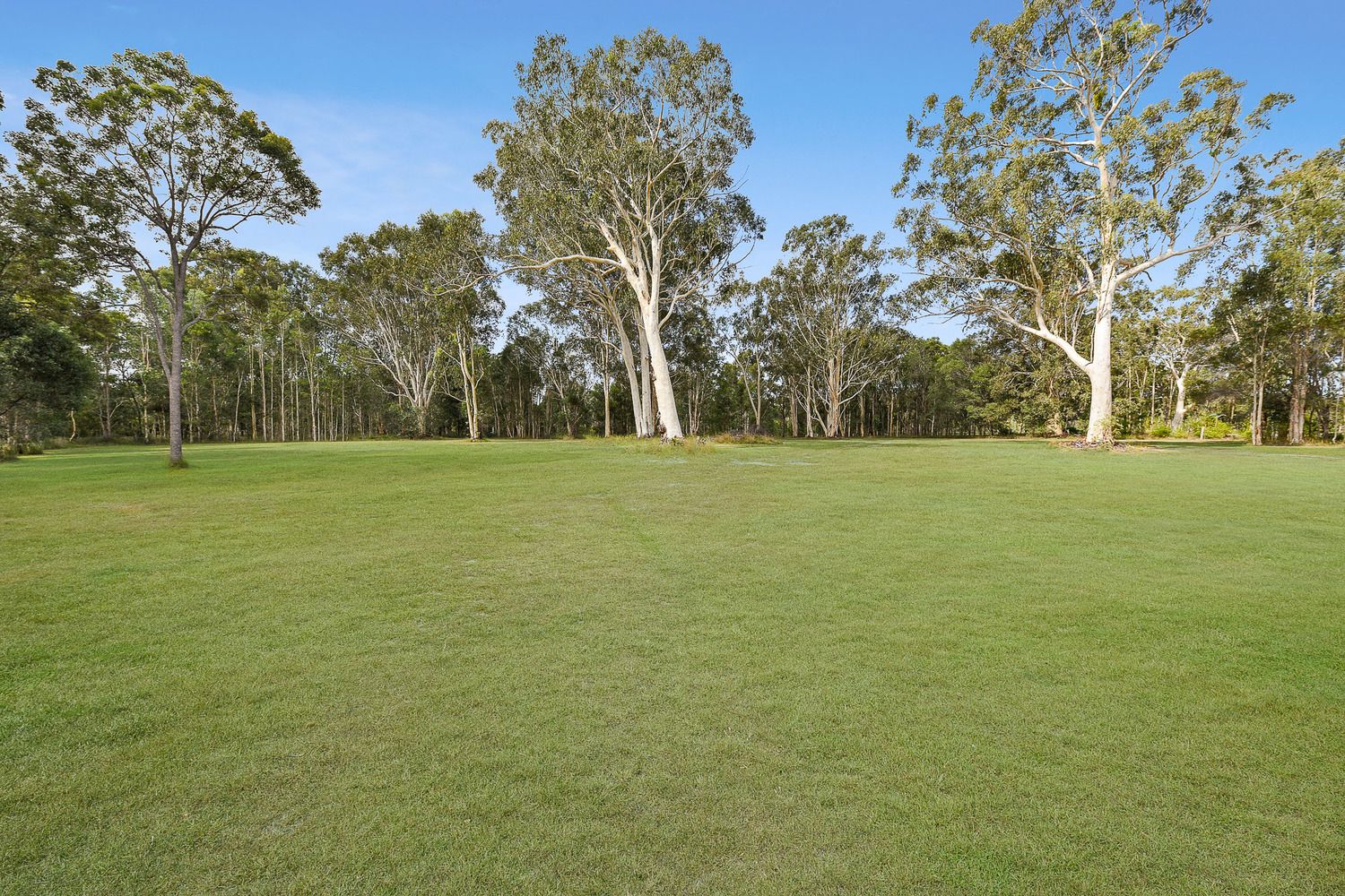 14 Riverpark Drive, Ringtail Creek QLD 4565, Image 0