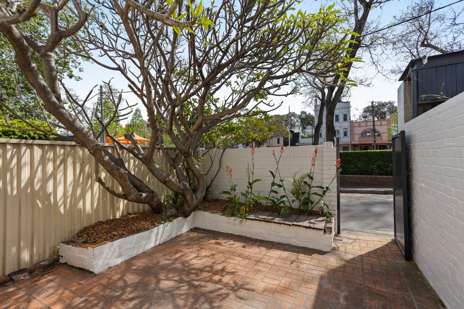 Additional image 9 of 9 Richards Avenue, Surry Hills NSW 2010