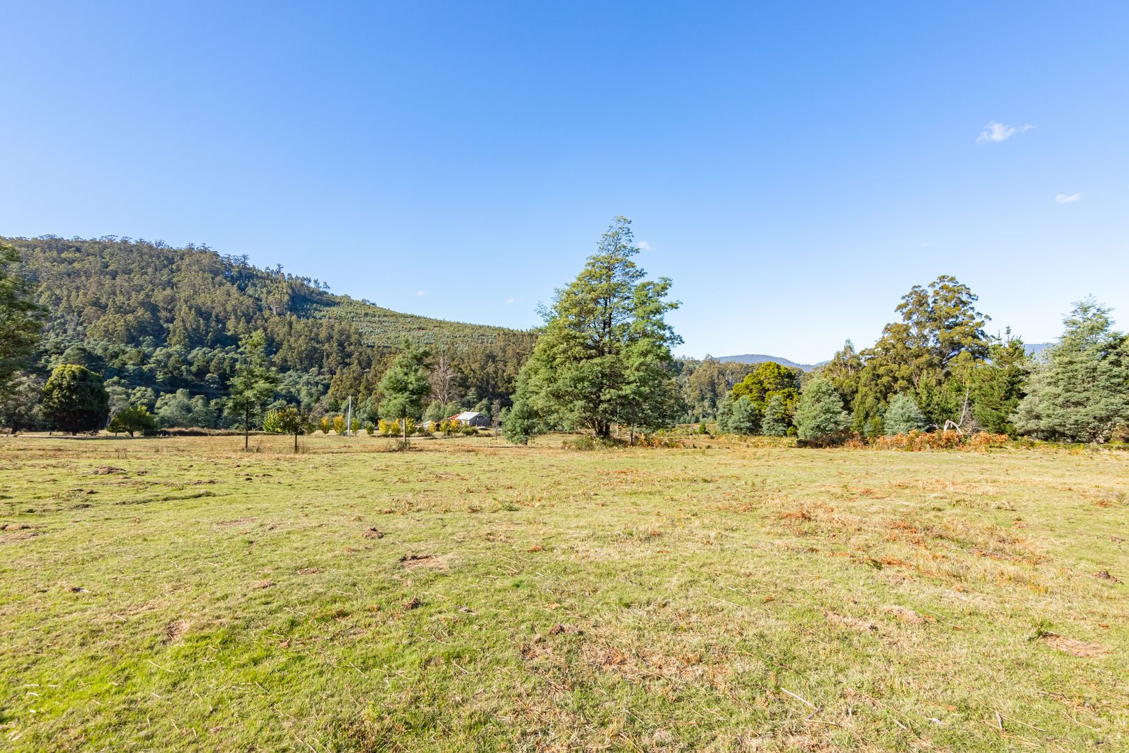 Franklin TAS 7113 House for Sale Domain