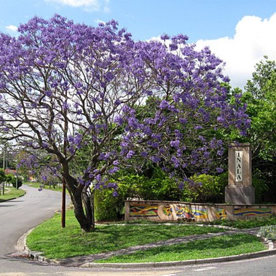 71 Rosemary Street, Inala QLD 4077, Image 0