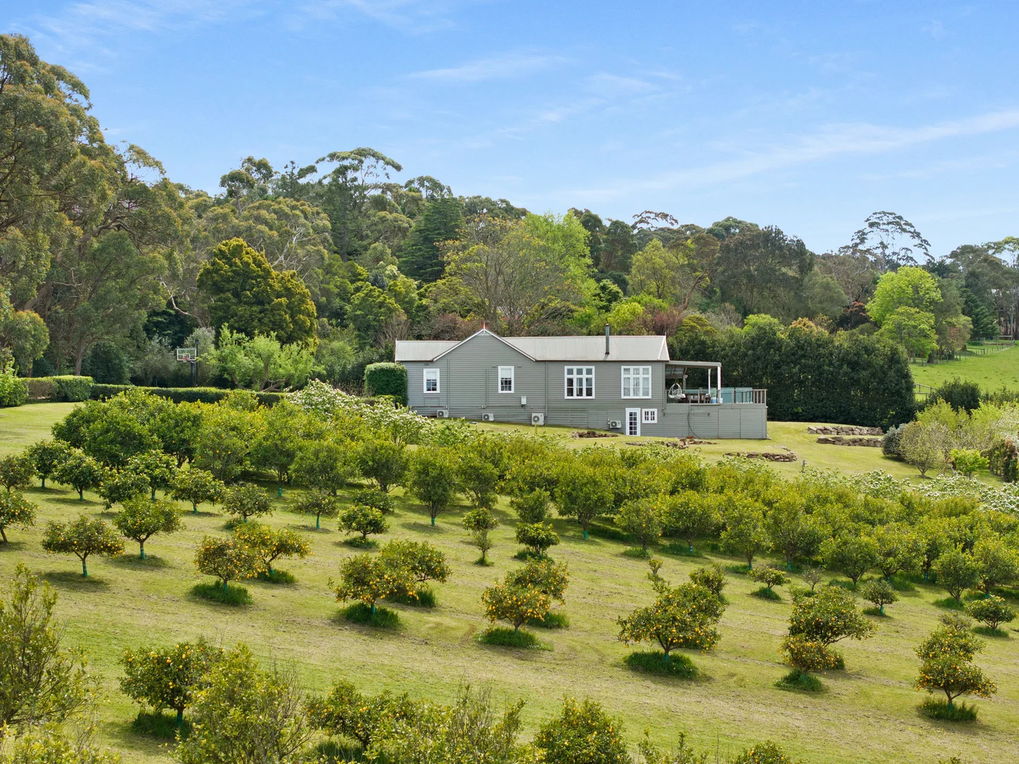 1049 Mornington-Flinders Road, Red Hill VIC 3937 - House for Sale