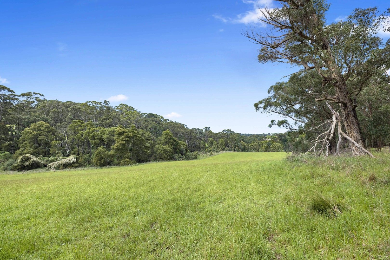 110 Stony Creek Road, Red Hill VIC 3937, Image 1
