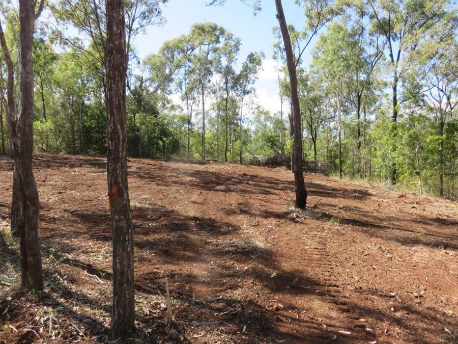 LOT 98 MIDGE POINT ROAD, Bloomsbury QLD 4799, Image 2