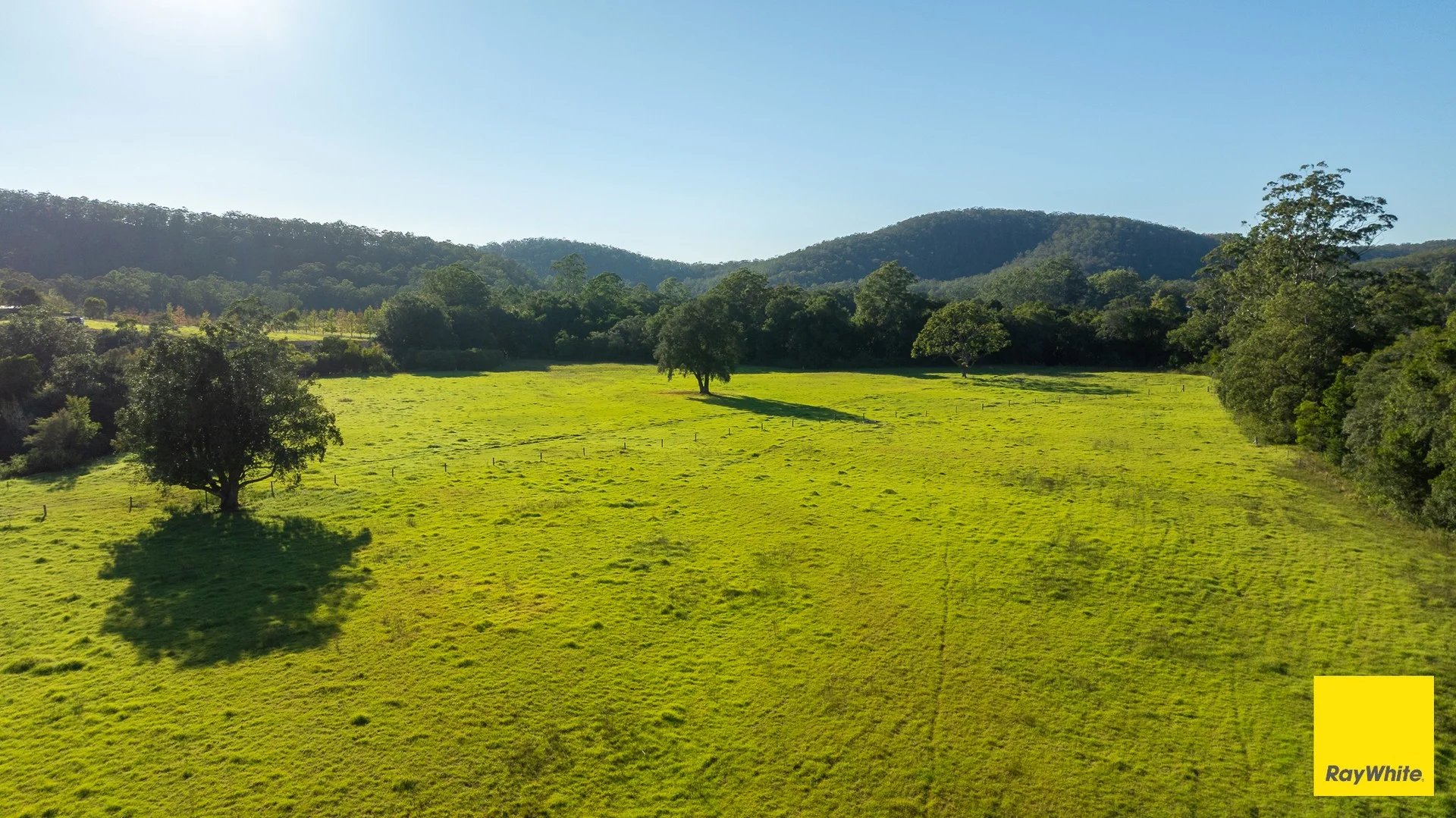 131 Crawford River Road, Crawford River NSW 2423