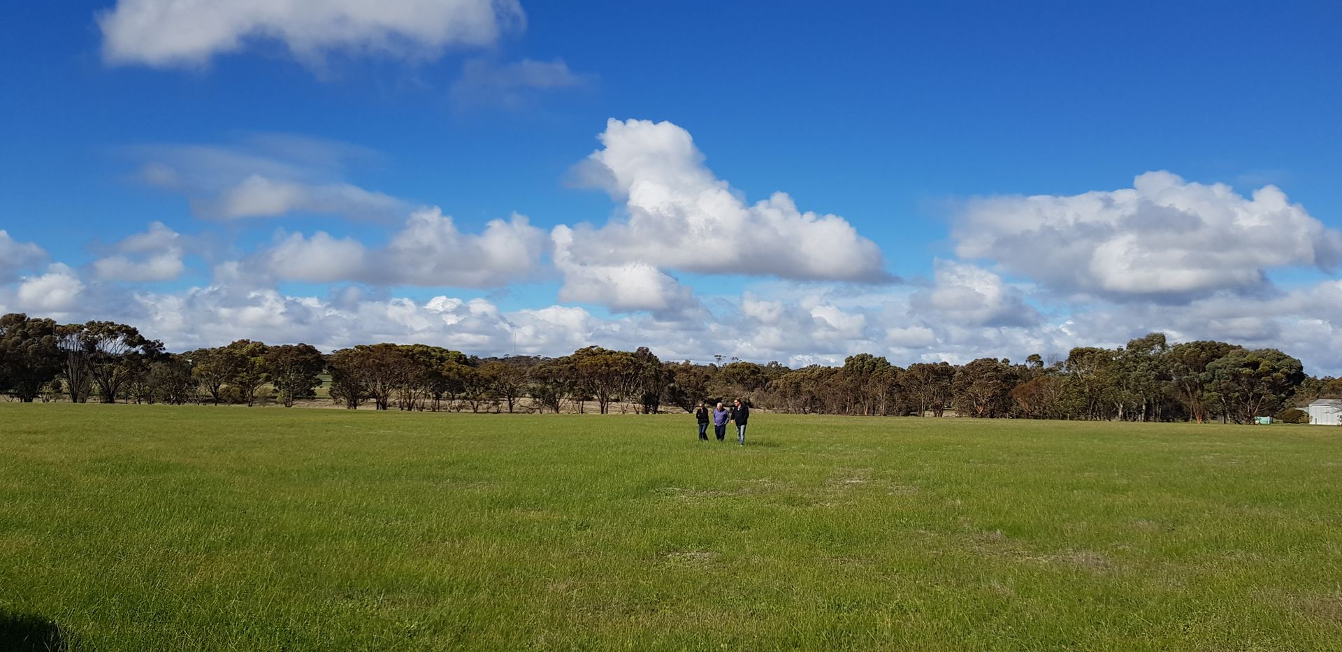 Lot 122 Katanning Dumbleyung Road, Katanning WA 6317, Image 1