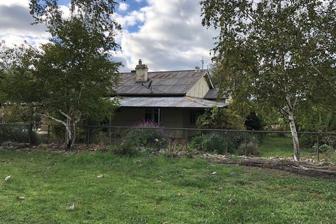 Picture of 1299 Munderoo Ournie Road, OURNIE NSW 2640