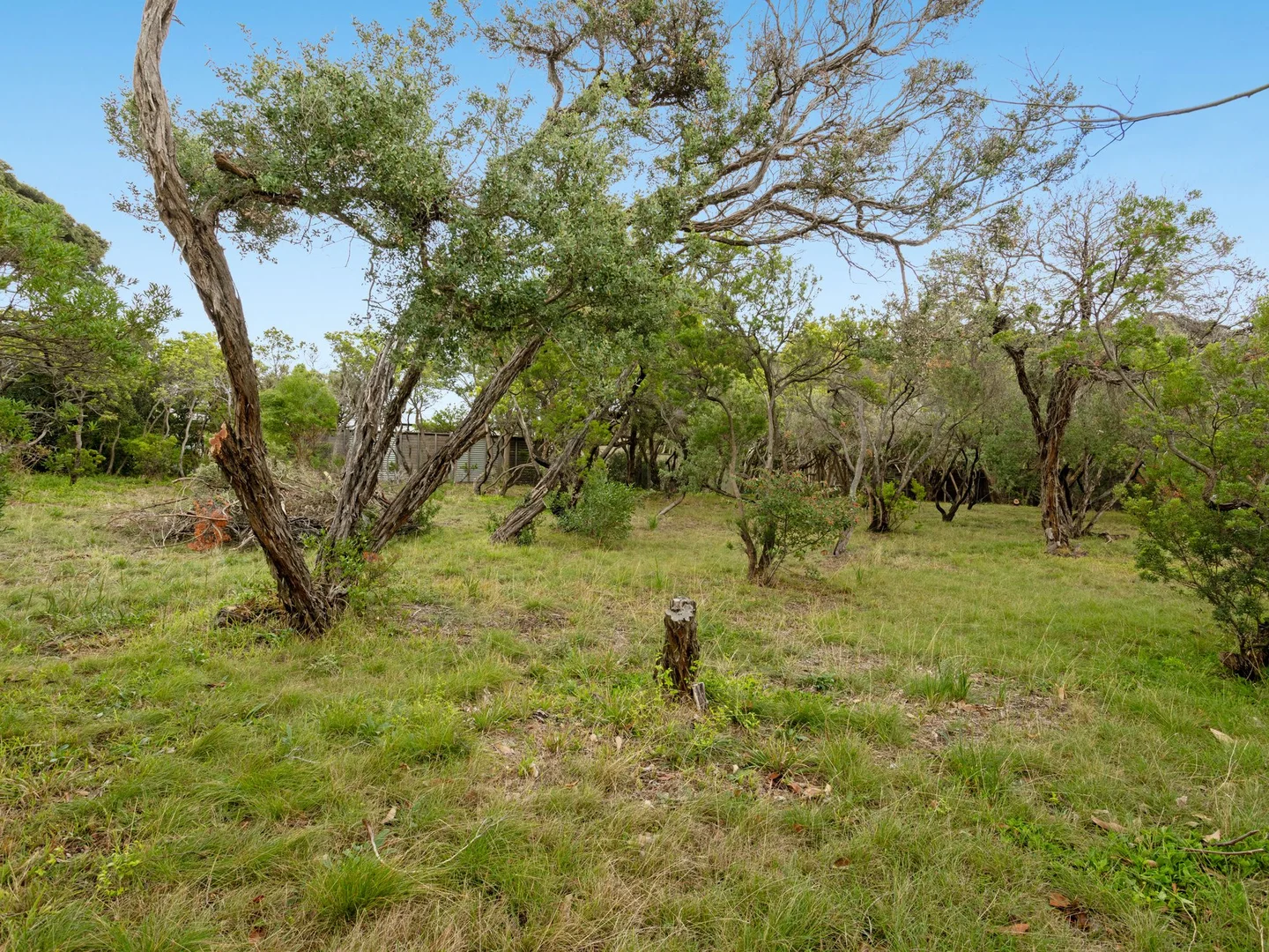 Additional image 15 of 3 Lillian Street, Rye VIC 3941