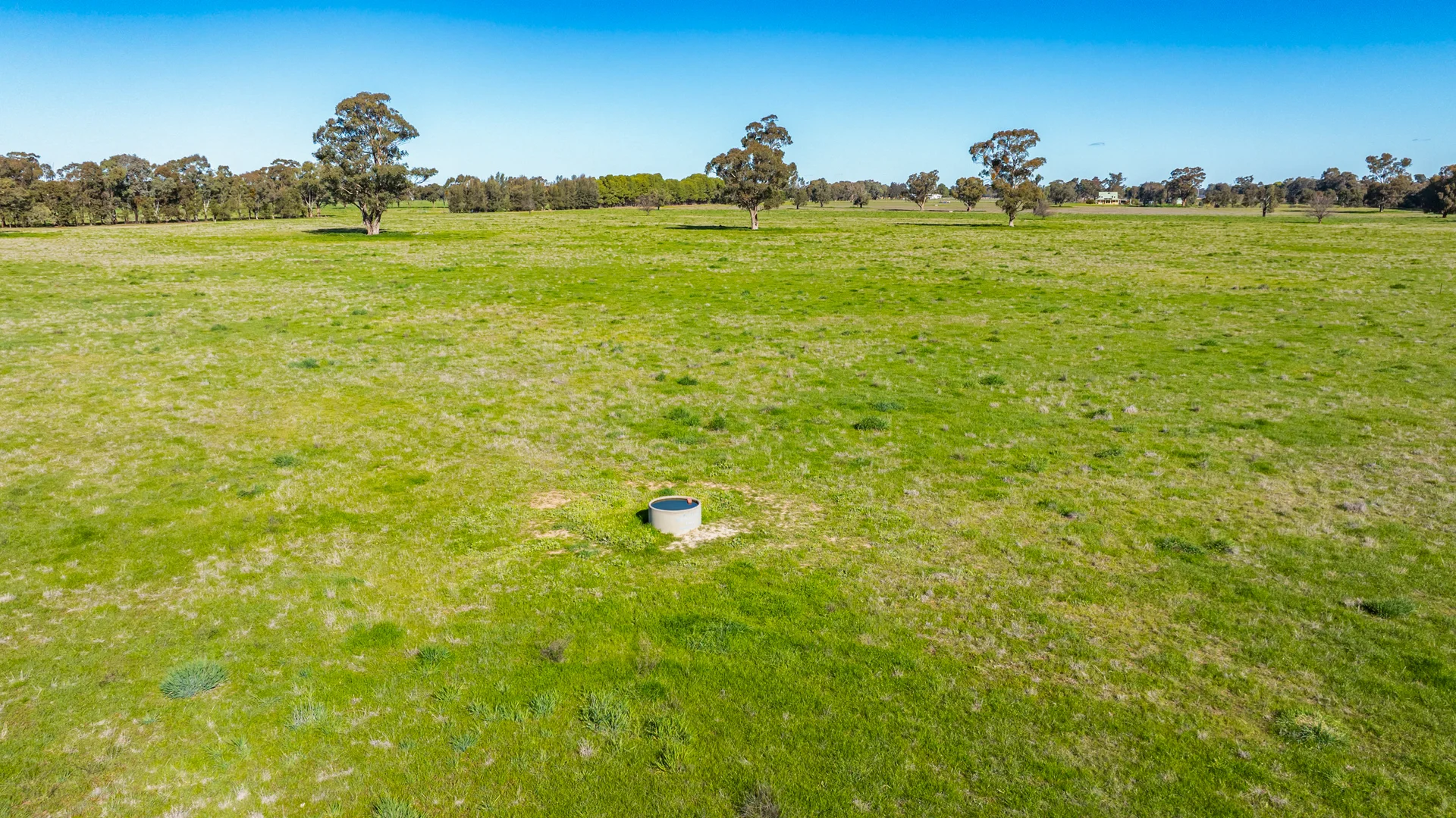 Additional image 10 of 290 Savernake Road, Mulwala NSW 2647
