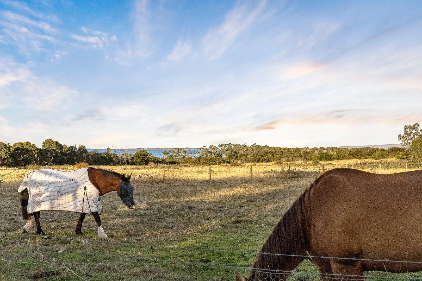 Additional image 5 of 5 Seaglades Lane, Bittern VIC 3918