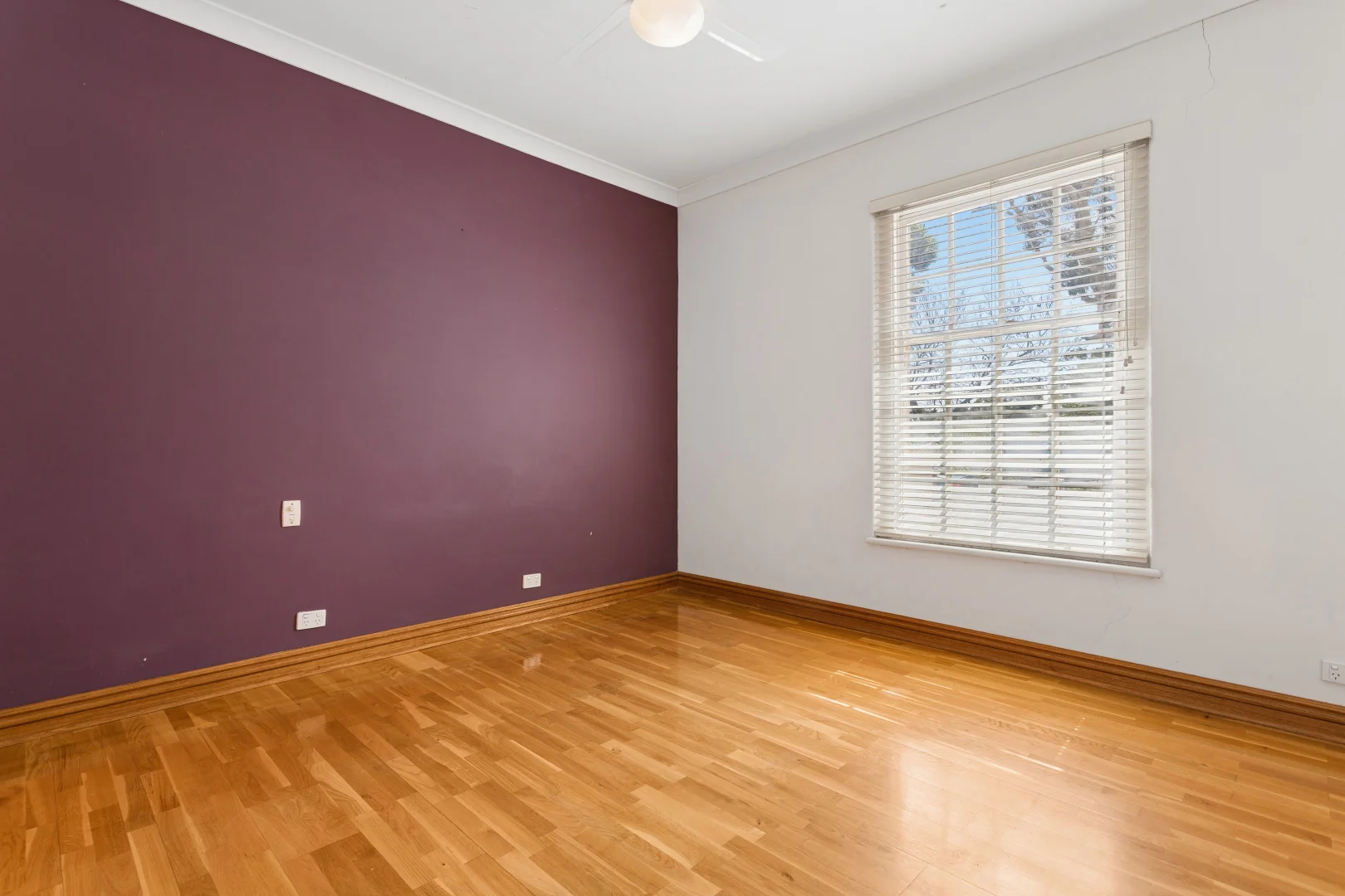 Additional image 15 of 6 Kitchener Street, Netherby SA 5062