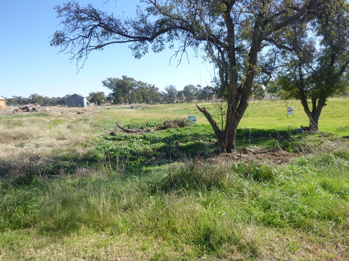 Lot 5 Griffith Street, Greenethorpe NSW 2809, Image 0