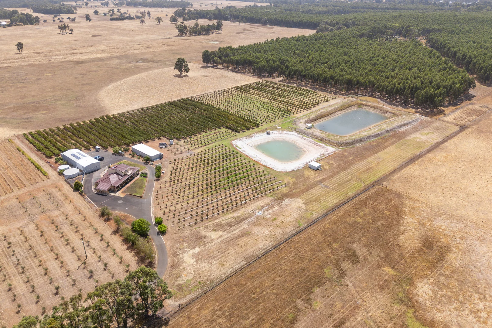 Additional image 26 of 25 Richmond Street, Ringbark WA 6258