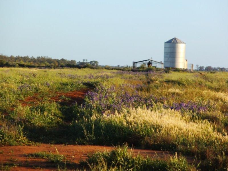 . "Plains East", NARRANDERA NSW 2700, Image 1