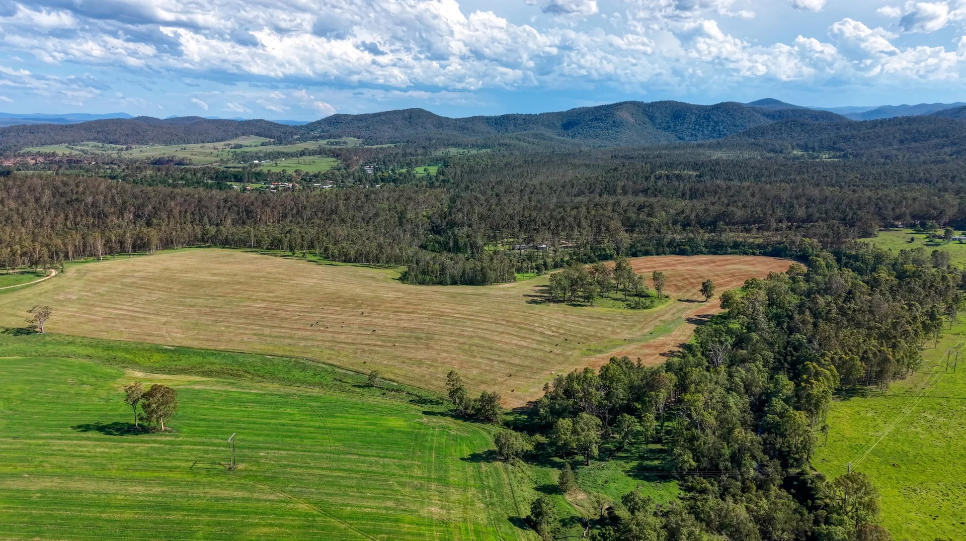 Additional image 17 of 119 Paddys Flat Road, Tabulam NSW 2469