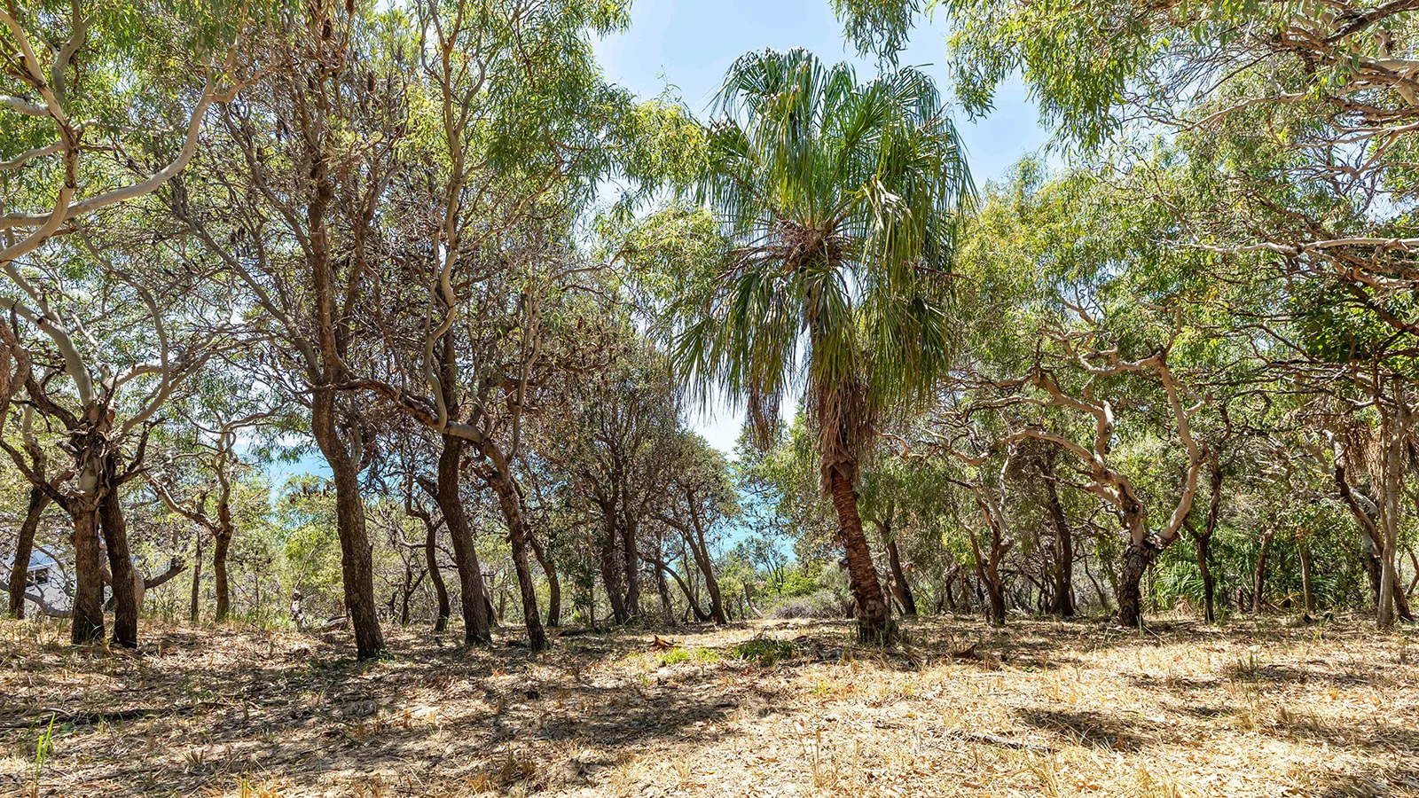 Additional image 17 of 73 Loggerhead Lane, Agnes Water QLD 4677