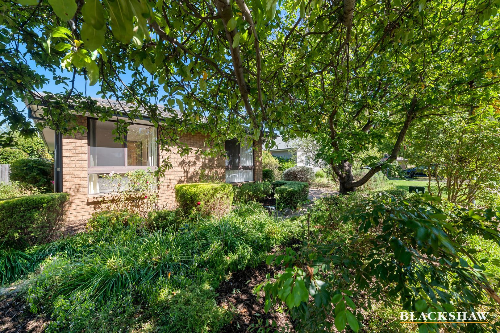 8 Nimbin Street, Narrabundah ACT 2604, Image 1