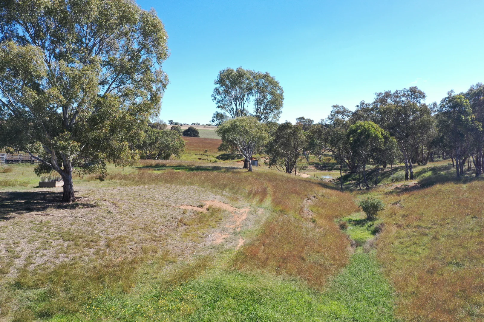 Additional image 21 of 216 Good Friday Gully Road Maimuru via, Young NSW 2594