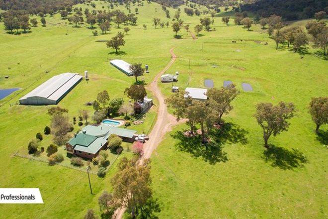 Picture of 39 Ogunbil Road, DUNGOWAN NSW 2340