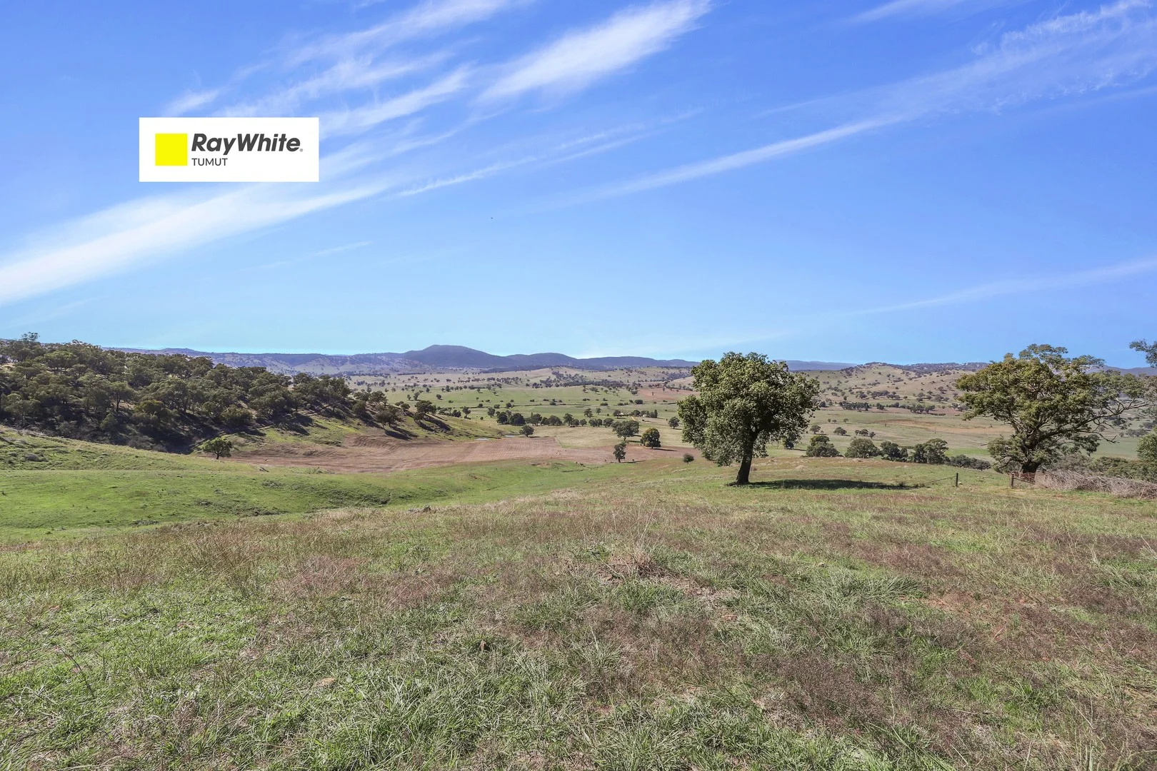 Part 1169 Grahamstown Road, Adelong NSW 2729