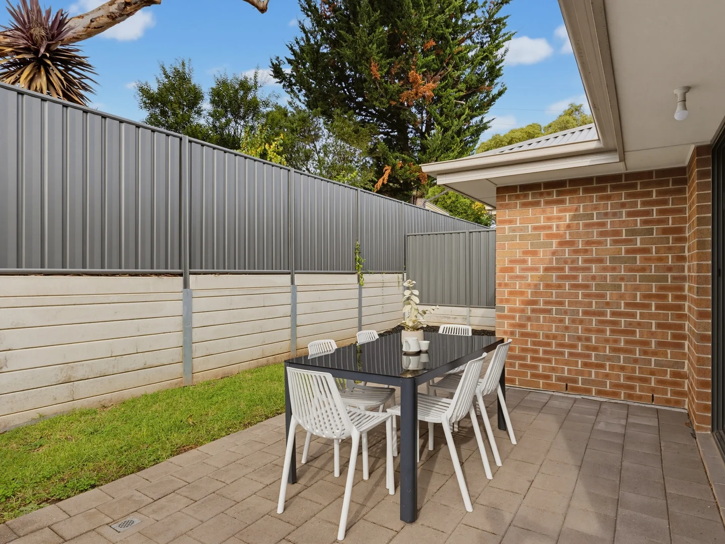 Image 15