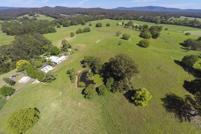 Picture of BUCCA NSW 2450