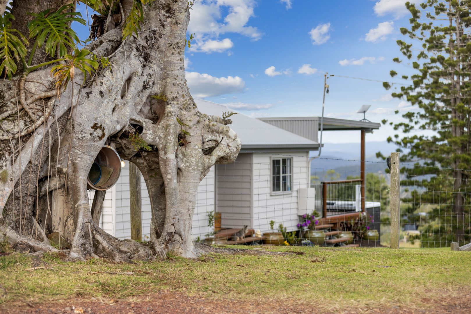 1150 Maleny-Stanley River Road, Booroobin QLD 4552, Image 2