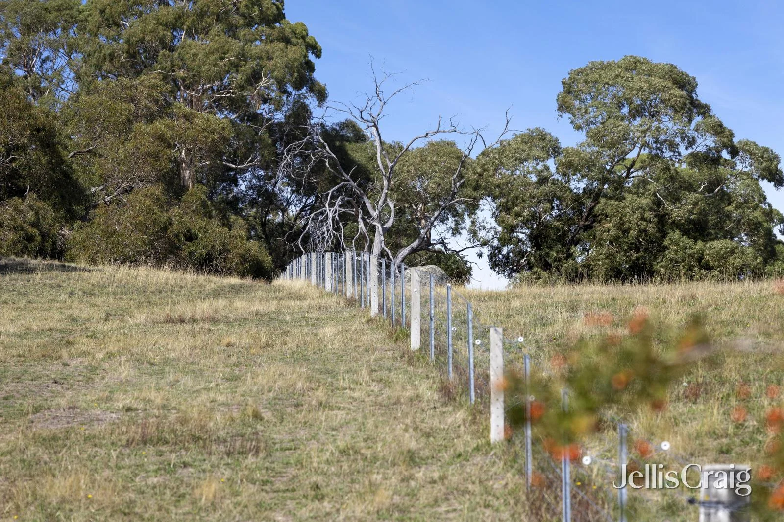 Additional image 8 of 995 Lancefield-Pyalong Road, Nulla Vale VIC 3435