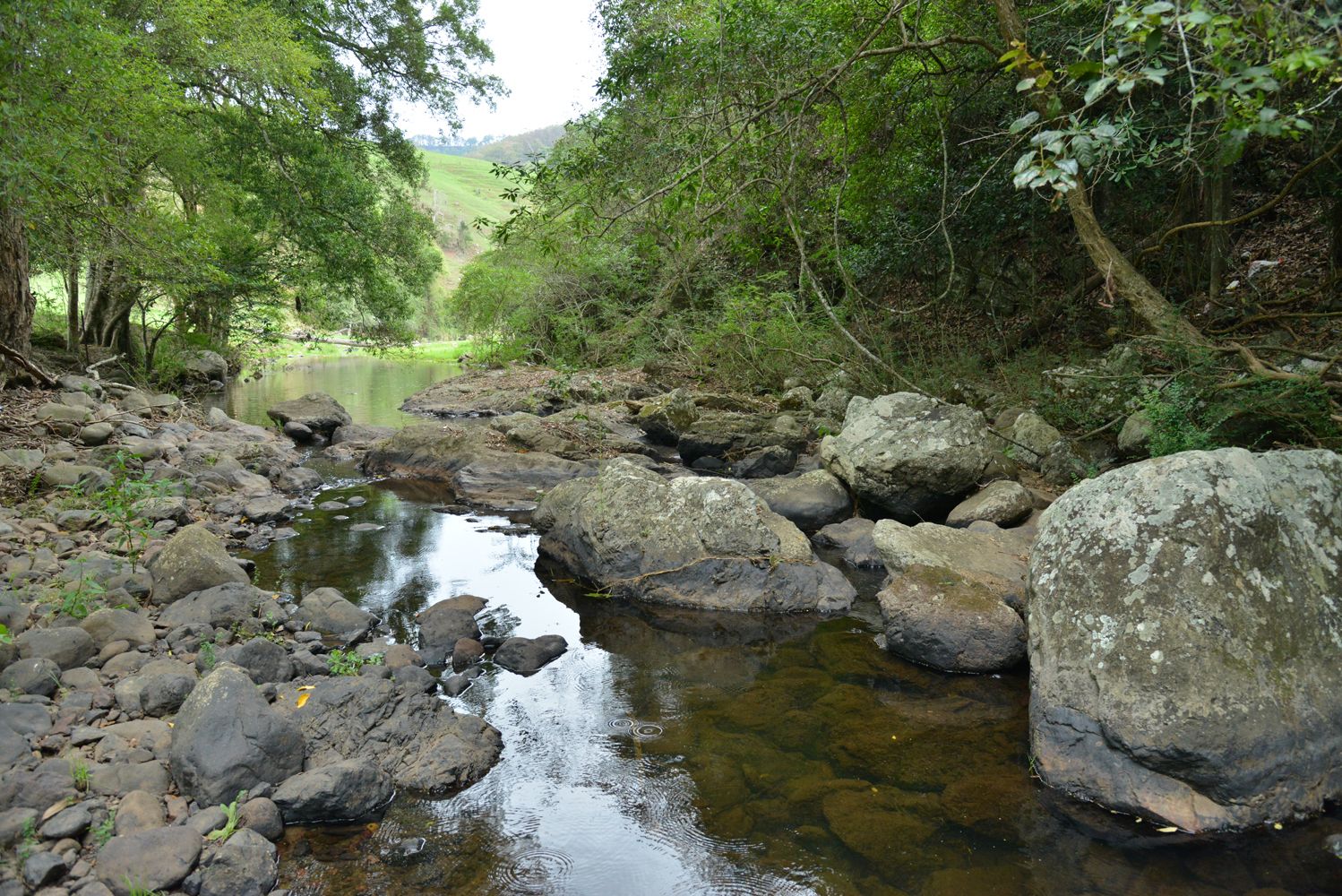 2032 Toms Creek Road, Toms Creek Property History & Address Research