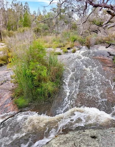 Image 36