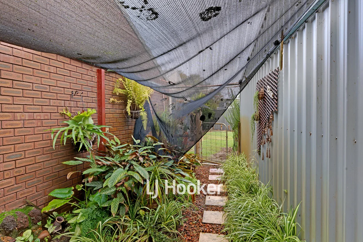 Image 41