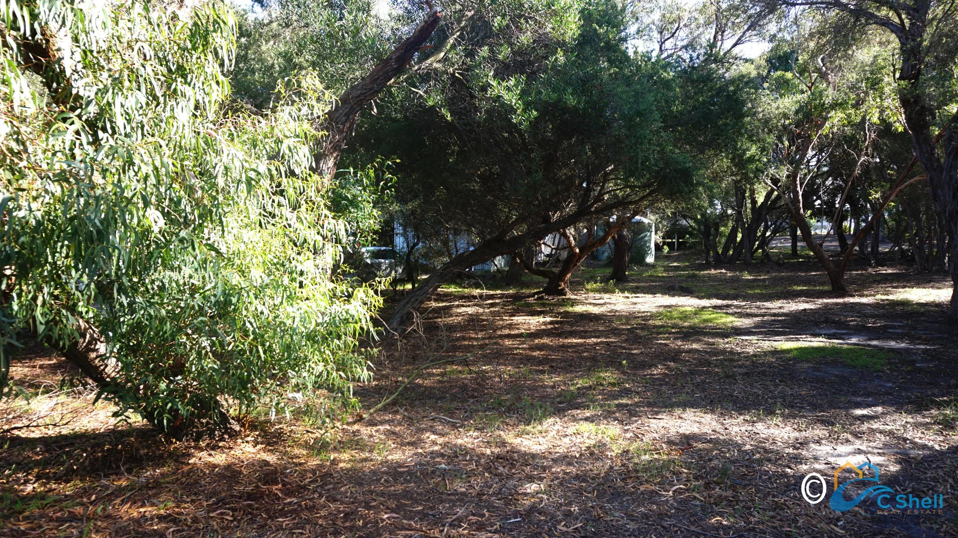 Additional image 4 of 32 Thriptomene Street, Loch Sport VIC 3851