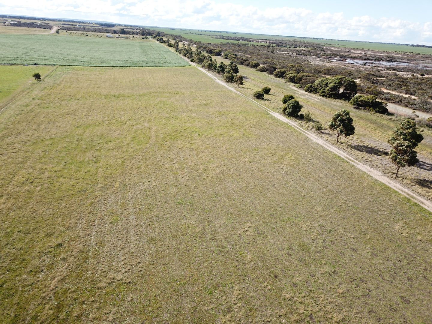 Lot 551 Godenia Way, Hopetoun WA 6348, Image 2