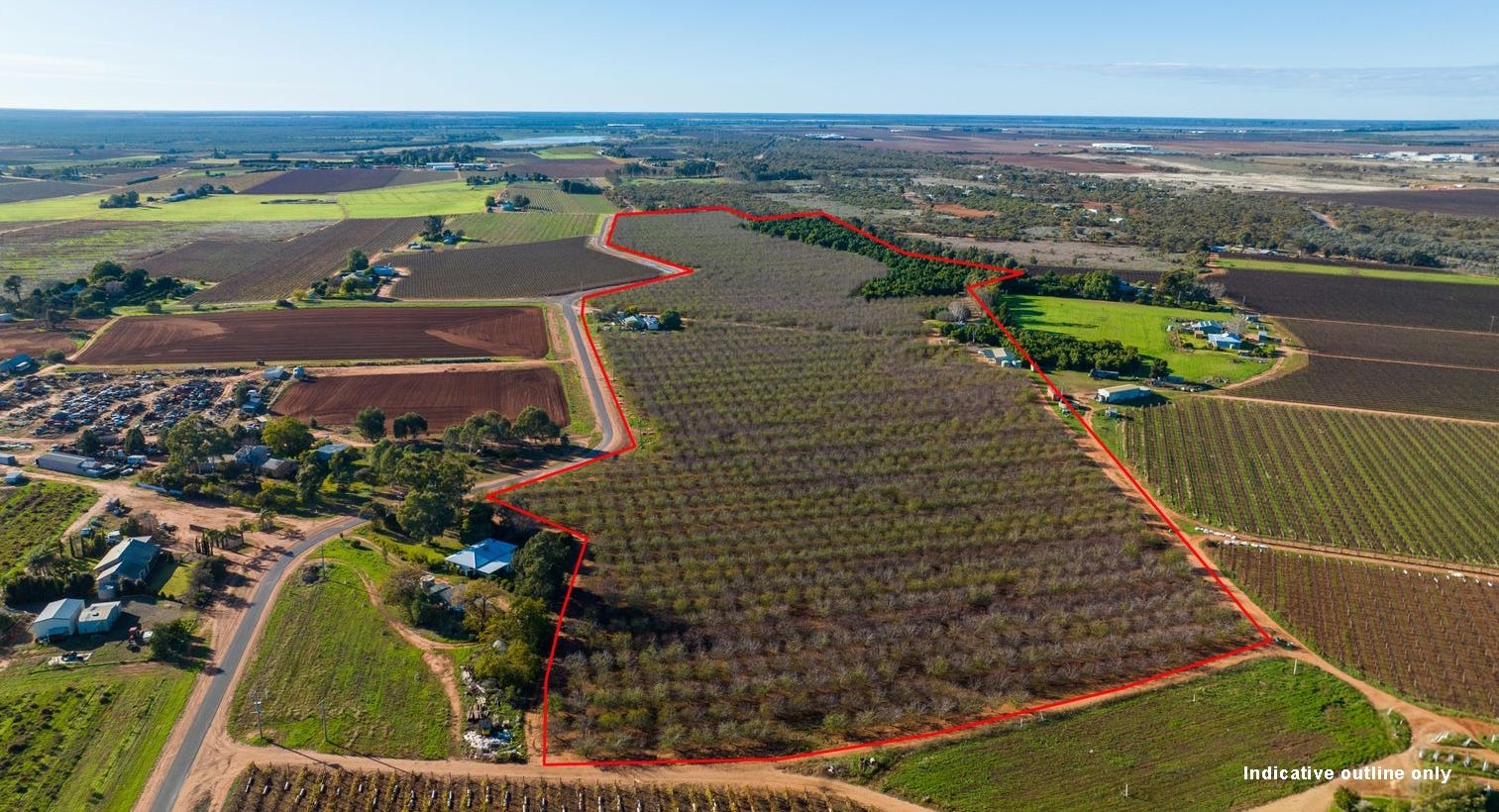 210 Dumosa Street, Red Cliffs VIC 3496 House for Sale 1,550,000