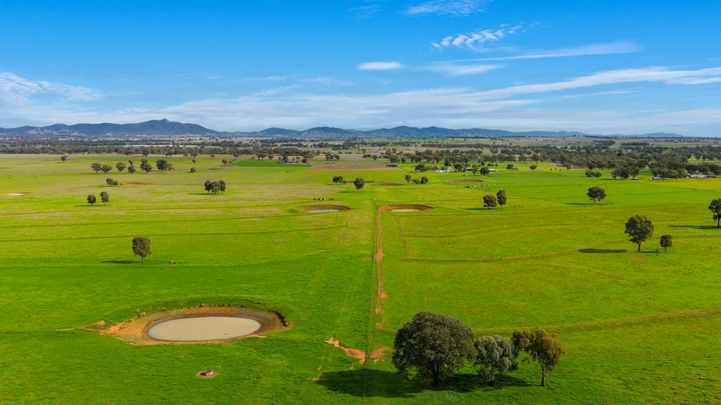 Image 13